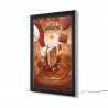 Vitrina Exterior Premium ELEGANCE